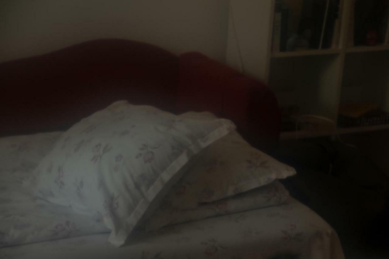The Studio Apartment Sibiu Dış mekan fotoğraf
